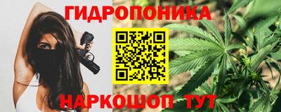 шишки Вязьма