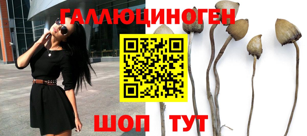 Галлюциногенные грибы Magic Shrooms Джанкой
